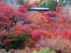 2019古都京都もみじ満喫の旅2泊3日①