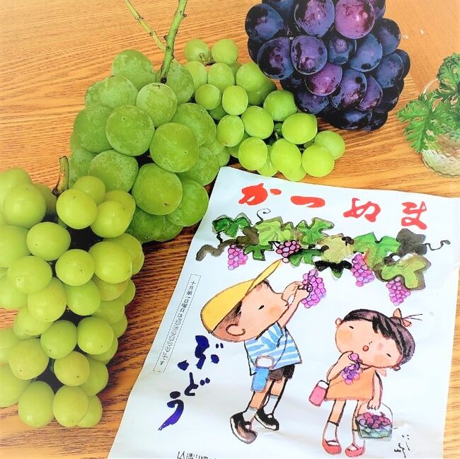 妹と今が旬のぶどう狩りをしに、ぶどうの産地、山梨県の勝沼へ。<br />明るいうちに帰ってくる日帰りドライブです。<br /><br />お昼ご飯、たまたま昭和レトロの雰囲気漂うレストラン。<br /><br />その名も「レストラン スター苑」。メニュー表も年季が入って個性的。とても楽しく美味く頂きました。