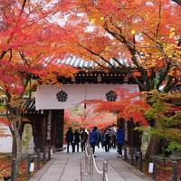 2019古都京都もみじ満喫の旅2泊3日③