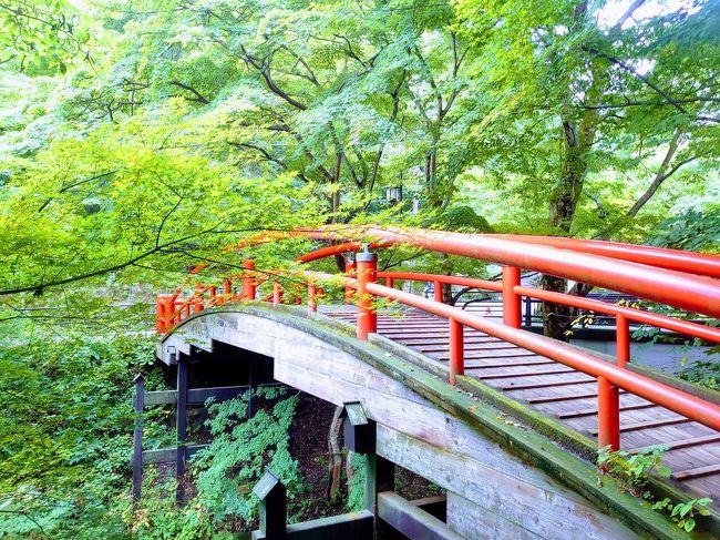 いつもどおりの遅い夏休み…今回は友人が休みを合わせてくれたので、のんびーりした伊香保温泉旅行へ<br /><br />一日目は吹きガラス体験<br />2日目はグリーン牧場&石階段巡り<br />3日目も石階段巡りののんびーりした旅行…<br /><br />こちらは2日目の午後の石階段巡りからとなります