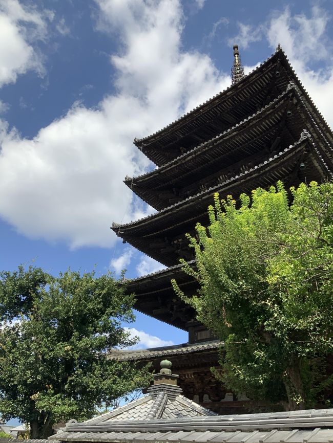 路地巡り