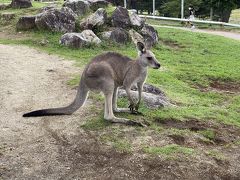 愛犬と那須旅行１泊２日