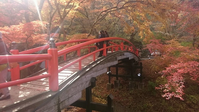 1泊2日で伊香保温泉に行ってきました。