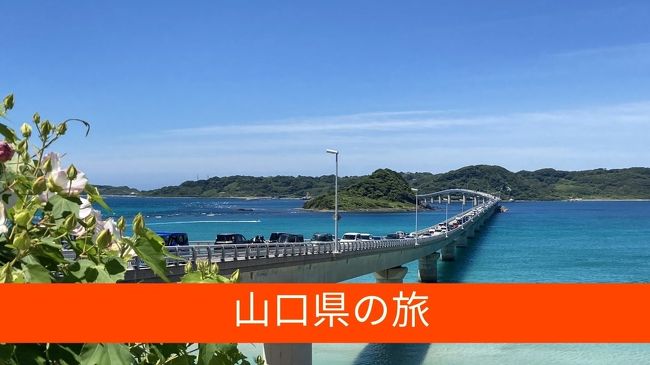 [日本は糖質にあふれている]6日目　山口満喫！下関条約に　鍾乳洞　念願の萩焼ゲット