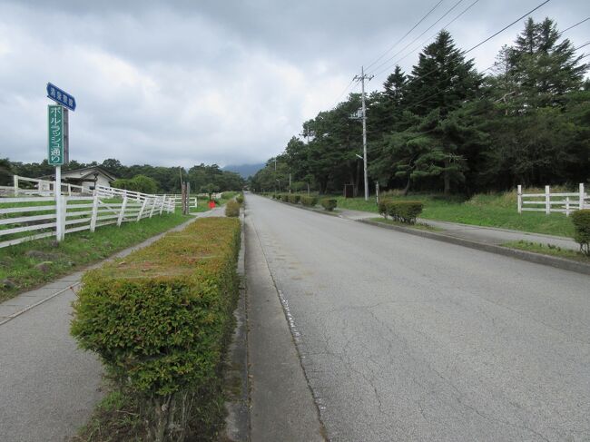 小淵沢ICから八ヶ岳高原ラインを走り清里へ向かいました。渓谷の緑に映える赤い東沢大橋を通り、清里駅前観光案内所で情報を得ました。駅前の商店街はさびれていて、人の集まる清里は駅前ではないと知りました。萌木の村にある廃車を利用した草花の可愛らしさに魅かれたり、ともにこの森の店舗で買い物をしたりして楽しみました。それから牧場に寄りながら川俣川に架かる八ヶ岳高原大橋に行きました。最後に清泉寮で昼食をとり、敷地内の各店を見て久しぶりの観光を満喫しました。