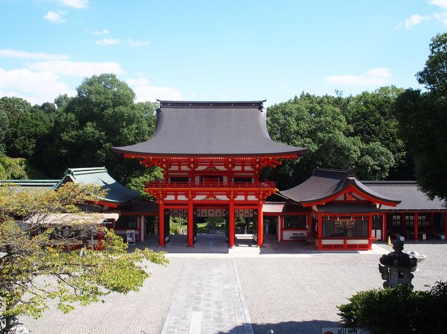 久々の近畿地方への旅。<br />京都・山科にある天智天皇陵を見ることが第１の目的でしたが、せっかくなので天智天皇ゆかりの地巡りをしてみようと、まずは滋賀県大津市を歩き回りました。<br />本編は近江神宮から三井寺までを歩いた旅行記です。<br /><br />★JR東海ツアーズ　ひさびさ旅割引 20900円（ツアー代金 18700円＋グリーン車代 2200円）→ 35％値引き（－7315円）で 13585円！<br /><br />＜往路＞東京 6：30 → 京都 8：45　のぞみ（グリーン車）<br />＜復路＞京都 10：30 → 東京 12：45　のぞみ<br /><br />＜宿泊＞ダイワロイネットホテル京都八条口　禁煙ダブル　素泊まり