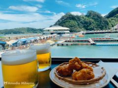 めんたいパークと水族館で伊豆満喫【1日目】