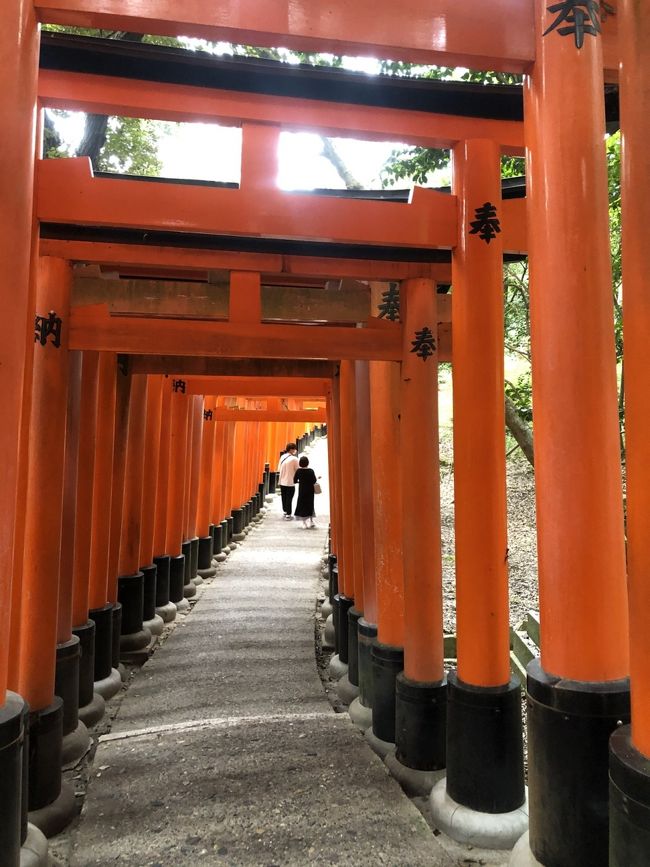気軽に旅行ができなくなった2020年。。<br /><br />楽しみがなくなってしまったけど、<br /><br />これは…<br /><br />逆にチャンスかも。。<br /><br />ここまで観光客が少ない京都は、<br /><br />なかなかない。。<br /><br />ということで、<br /><br />通常なら、観光客が多すぎて行こうとは思わないところに<br /><br />順に行ってみることにしました。<br /><br />第3弾。