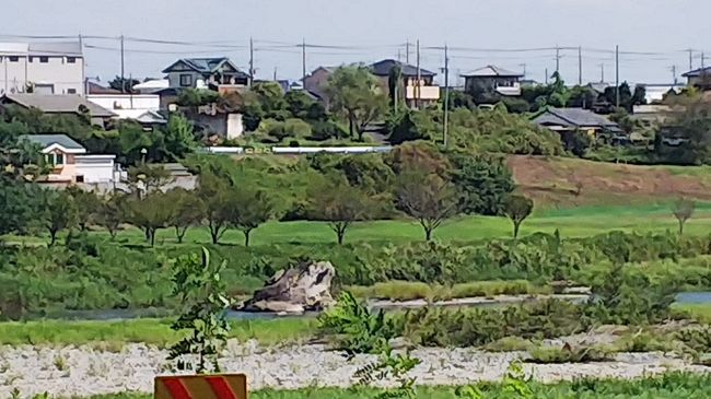  令和2年度 特別展楽しい美味しい江戸の水辺埼玉県立川の博物館に行ってきた。<br />博物館らしく浮世絵プラスその取り上げた関連の標本や展示物があり、桜だったらいろんな桜の標本、お花見ならお花見のお重の見本、描かれてる亀と違う亀( 危険な外来種)、栗は九里、それより美味しいから、焼き芋は十三里。<br />小さいながらもスタッフさんが工夫を凝らされて充実してました。