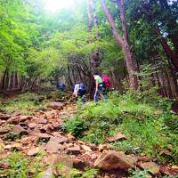 表丹沢・塔ノ岳へ日帰り登山