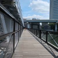 隅田川新名所 SUMIDA RIVER WALK 辺り サイクリング　9月/2020