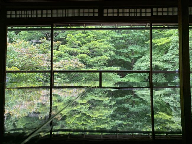 日帰りで京都へドライブ&#128663;<br /><br />瑠璃光院の青もみじ、比叡山延暦寺、下鴨神社、伏見稲荷へお参りして来ました。