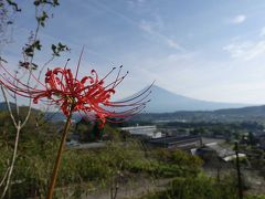 自転車でGO!早朝バージョン =彼岸花を見に興徳寺へ(2/3 興徳寺)= 2020.09.22