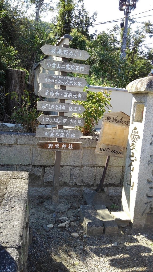 嵯峨野に点在する寺社仏閣をめぐりました。