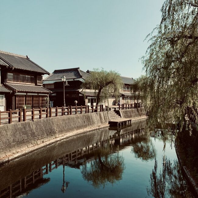 　気づけば去年の夏旅からもうすぐ1年。当時は今も状況がそう変わっていないとは夢にも思いませんでした。今更ですが、2020年夏のお散歩記録第2弾。<br /><br />　コロナ禍でGW が吹っ飛び、予定していた海外旅が２つ潰れた2020年。今年初めてのまとまったお休みも、基本的にはステイホーム継続ですが、気分転換に車で空いている県内を巡るのは差し支えない筈…ということで、以前から気になっていた県内の場所をちょこちょこと訪ねる事にしました。<br />　2回目はチーバくんの頭～耳。早朝の誰もいない香取神宮と佐原の街並み、そして子供の頃から行ってみたかったけれど、行き方が分からずウン10年、初めて訪れた屏風ヶ浦へ。<br />　直線距離だと大した事のない佐原～銚子間ですが、実はかなり時間がかかります。そして銚子…チーバくんのどこからも遠い！同じコースならば、やはり地元じゃなければ難しそう。前回の旅とは違う意味で地の利を生かした旅となりました。