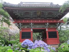 雨引観音の紫陽花。