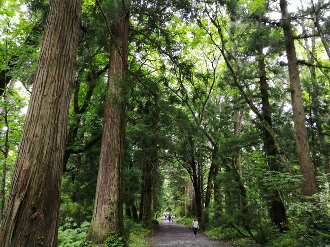 コロナの第2波が来る前の7月の後半、長野県から出ていたクーポンを利用して北信地方へ旅行しました。<br />目的は、善光寺・戸隠神社・野沢温泉。<br />半額で泊まれるこの機会に！と、連休に車で行きました。<br /><br />その1は、長野市の善光寺と戸隠神社の旅行記です。<br />どちらも有名なのに行ったことがなく、機会があれば行ってみたいと思っていました。<br />行くのなら健康なうちにと考えるのは、年をとった証拠ですね。