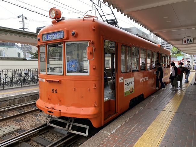 4連休で行く四国1周旅行2日目で目指すは愛媛県松山市。<br />実は私の父親の実家(田舎)だったりします。<br />ただし今は祖父母もおらず帰る事もほぼ無いに等しく、しかもあったのがギリ松山の超田舎。<br />故に松山中心部の記憶も情報も無いまままたしても不勉強でやって来てしまいました。<br />とは言ってもやっぱりここでも飲み歩き。<br />観光はほぼする気が無いのでお店情報さえ仕入れておけば全然OK！<br />2日目は朝高松から電車で出発して松山まで。<br />松山駅～大街道～道後と飲んで食べてウロウロして来ました。<br />ここでも当たり前の様に観光要素はほとんどゼロ！（笑）<br />それでは2日目の旅行記スタートです！