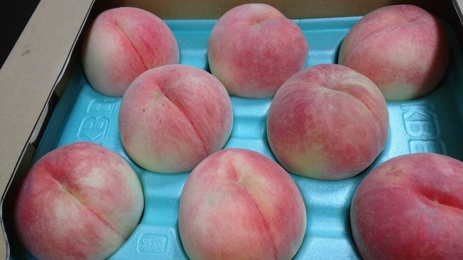 福島市に出張のついでに、名残の桃を買い求めに市内をさまよいました。<br />今年は旬が早いらしく少々焦りましたが、何とか美味し～い桃をゲットできました。