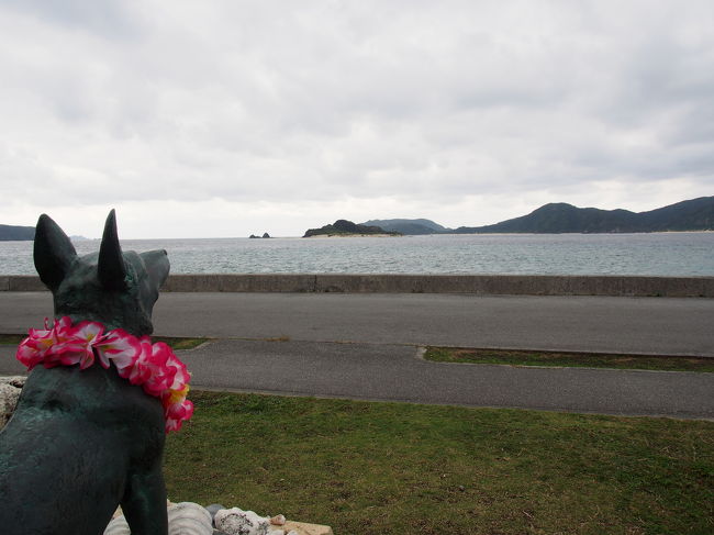 座間味・阿嘉島を巡る旅