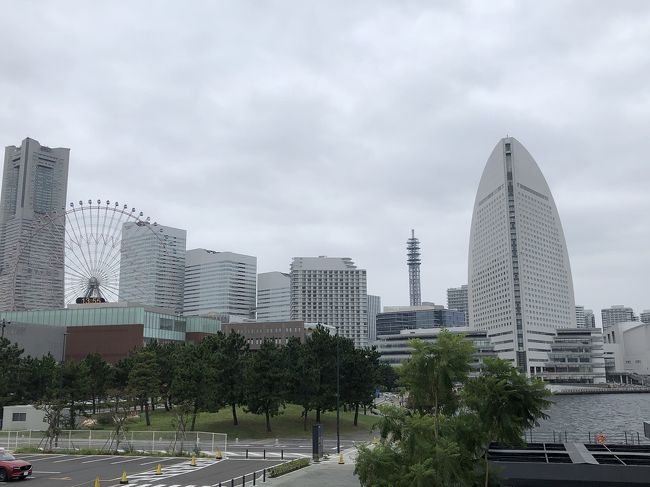 台風来てましたが、強風の中、観光しました。<br />シーバス欠航でバスで<br />ニッサンパビリオン<br />ハンマーヘッド<br />赤レンガ倉庫<br />シェラトン横浜のプール<br />クラブフロアのカクテルタイム<br /><br />横浜は素敵な街でした。<br />