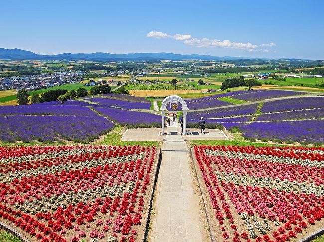 本旅行記は「花の富良野・美瑛 V　美瑛　ぜるぶの丘」（https://4travel.jp/travelogue/11644606）の続きです。今回ご報告の日の出ラベンダー園は1980年、上富良野町中心街北東に位置する1977年開園の面積約20 haの日の出公園北西斜面1.5 haに、ラベンダーを植栽してオープンしました。このラベンダー園はその場所から、日の出公園ラベンダー園とも呼ばれていますが、公式名称は日の出ラベンダー園です。園内には「愛の鐘」や「幸せのハート」があり、愛の園を演出しているようで、ウエディングドレスとタキシードの新郎新婦が写真撮影をしていました。 