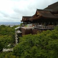 2020年9月・サクッとGoTo京都！～後編・清水寺から祇園エリアを散策＆和なティータイム～