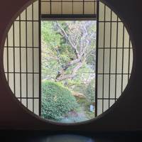 京都でしたいこと消化旅 Day 2&3
