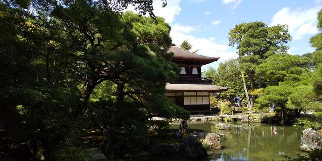 9月の4連休にどこにも行く予定を立てなかったので、そうだ京都へ行こう!と相方のノリエッティと。<br />糖尿病のノリエッティを歩かせるべく、散歩しただけの京都日帰り。<br />写真もほぼないけど、自分の覚え書きに。