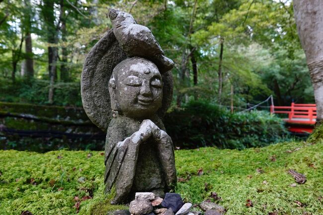 けんいちの1人旅です。<br /><br />連休にも関わらず、コロナ渦・紅葉前・Gotoキャンペーンが重なって、新幹線往復と京都駅前のホテル3泊で20,000円という破格値でした。そのため急遽京都を旅することにしました。山あいの神社仏閣を中心に訪れて、半分山登りの京都散策をすることにしました。<br /><br />石清水八幡宮・東寺・嵐山編からつづく、大原三千院・鞍馬・貴船編です。