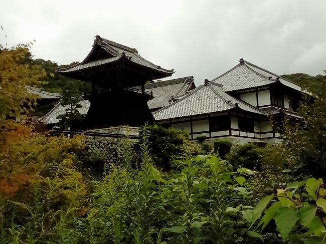 浜松駅から遠鉄バスで奥山方広寺へ行きました。だいたい70分くらいで奥山のバス停につき、そこから少し歩くと山門につきます。山門、五百羅漢の像、本堂と宝物、三重塔などを見ることができました。