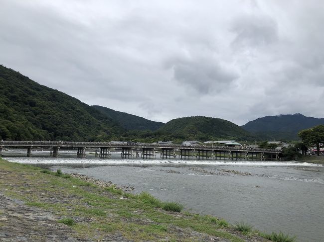 気軽に旅行ができなくなった2020年。。<br /><br />楽しみがなくなってしまったけど、<br /><br />これは…<br /><br />逆にチャンスかも。。<br /><br />ここまで観光客が少ない京都は、<br /><br />なかなかない。。<br /><br />ということで、<br /><br />通常なら、観光客が多すぎて行こうとは思わないところに<br /><br />順に行ってみることにしました。<br /><br />第4弾。