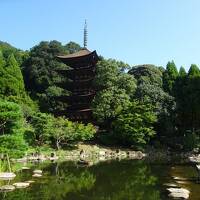 山口県と津和野ぶらりたび（防府・津和野・山口編）