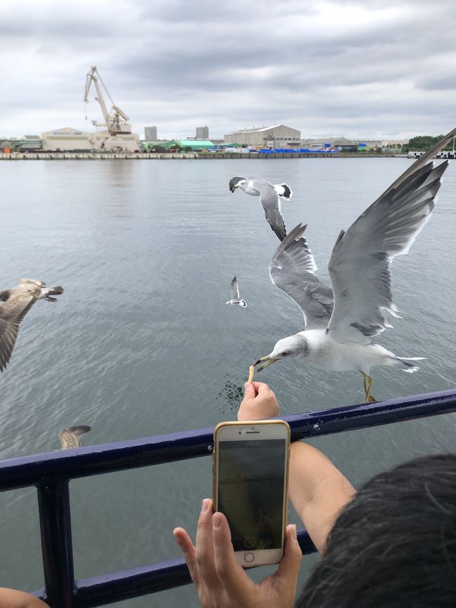 gotoを利用しての毎度の近隣温泉宿観光を、<br />今回は蘇我ドーミーインが天然温泉ということで朝食目当てで予約。<br />それにどう観光を絡ませるかと言うことで、行ったことがなかった千葉みなと周辺を中心に観光、子どもに懸垂式モノレールを乗せる名目で千葉市科学館へ行ってみます。