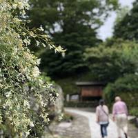 2020 ちょっとだけ県を跨いで 栗きんとんの季節は馬籠宿へ