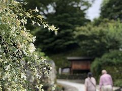 2020 ちょっとだけ県を跨いで 栗きんとんの季節は馬籠宿へ