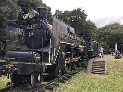 都立小金井公園 クチコミ アクセス 営業時間 国分寺 小金井 フォートラベル 都立小金井公園 クチコミ アクセス 営業時間 国分寺 小金井 フォートラベル