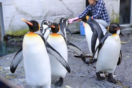 タイ人ツアーの為の北海道視察旅行1、富良野、美瑛、旭川