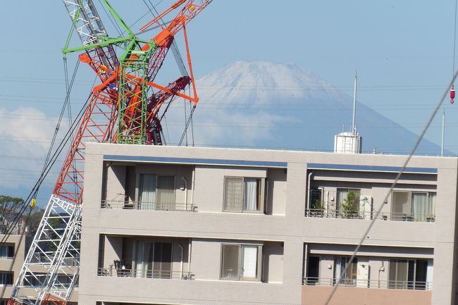 　今年の9月は1日は幾分かは秋らしさがあったが、前半は厳しい残暑が続いた。その後は雨や曇天の日が多く、待ちに待ったいわゆる秋晴れは9月も終わりに近づいた今日（9/28）になった。<br />　今日は朝から快晴である。これなら富士山が見えるのでは？と富士山のビュースポットに向かうと、富士山の中腹には雲が浮かんでいるが、頂上付近は冠雪していて冬場に見る富士山だ。気象庁・甲府地方気象台の発表では今日が富士山の初冠雪である。久し振りに見た富士山が初冠雪だとは…。<br />（表紙写真は初冠雪した富士山）