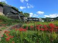 飛鳥の旅行記
