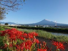 散歩 =初冠雪の富士山を見ながら…= 2020.09.28