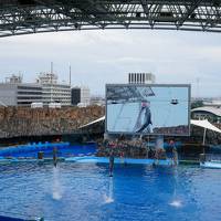 Go Toトラベル～甥っ子たちと名古屋へ　名古屋観光ホテル、名古屋港水族館（3）