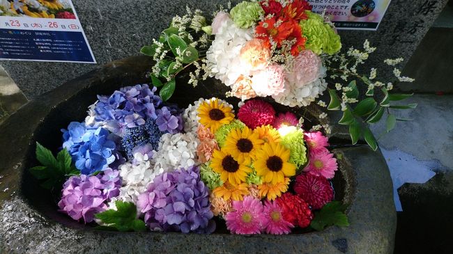 コロナ禍の中、使わないのならば手水鉢に花を生けようという取り組みが初めて行われました。花で受けつくされた手水鉢。全部で9か所ある神社をすべて回ります。今回は、手稲区と西区にある神社を巡ります。