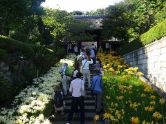 横浜西方寺の彼岸花　４色の彼岸花が見ごろ