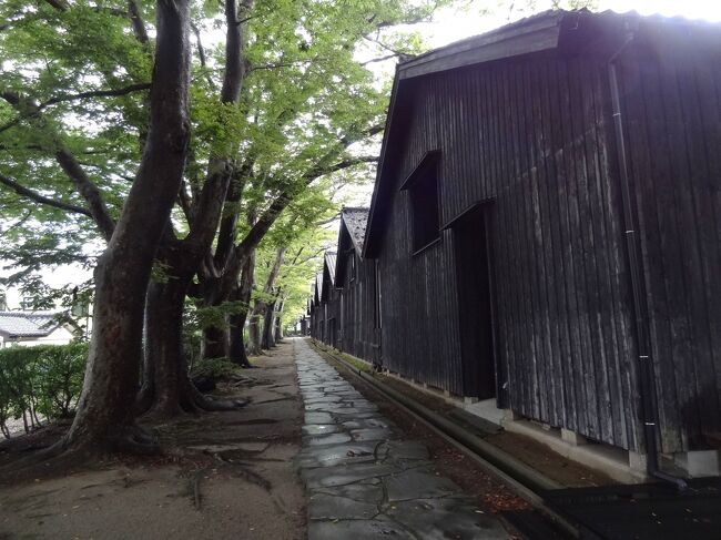 北海道&東日本フリーパスで乗りまくり6泊7日・その11.山形県酒田市/若葉旅館に泊まる