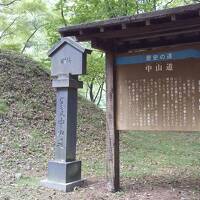 19-旧中山道 和田峠口～和田宿～ふれあいの湯(9/9 8km 21000歩 ）