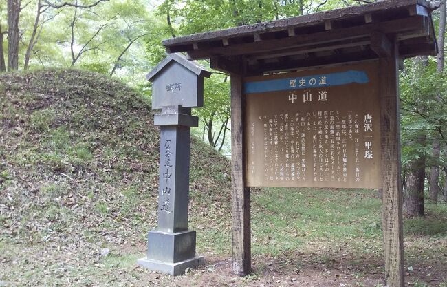 上田駅前バス停 7：16 出発 →丸子駅前バス停 8:15～8:35→長久保経由→男女倉口バス停 9:30→和田峠口→唐沢一里塚→和田宿→和田支所・診療所バス停→ふれあいの湯→和田支所・診療所バス停11:10<br /><br />前泊で「OYO上田ステーションホテル｣に泊まり、ホテルの目の前にある「上田駅前バス停」から一番早いバスに乗り「男女倉口バス停」でおります。<br />そこから歩いて2～3分の和田峠口より出発です。<br /><br />本来ですと和田宿より和田峠口へ歩きたかったのですが、色々調べてこの暑い夏のお昼にトイレ環境もなく屋根のないバス停6km歩き終わった後1～2時間バス待ちをしなければならず正当な方向での歩きを断念。逆に歩けば屋根のあるところやトイレや飲食店が何か所かあり何とかなりそうなので、逆順で歩くことを決意。東海道でも熊野古道でもこの逆に歩くのはやったことがないのでなんか気持ち悪い。。。<br /><br /><br />交通費：上田駅前～男女倉口バス停 870円 + 和田支所・診療所～長久保～大屋駅 840円+大屋駅～軽井沢駅 780円 + 軽井沢駅～横川駅 520円 横川駅～自宅最寄駅 2310円 = 5320円<br /><br />休憩：<br />・「和田支所・診療所バス停ベンチ」バス待ち休憩1時間 11:10～12:08<br />・「ふれあいの湯」1時間<br /><br />今日の失敗：和田支所・診療所バス停で11:45の長久保行に乗り損ねたこと。<br />ベンチで腰かけていたら予定より5分くらい早く「ふれあいの湯行」がゆっくりと通過していきました。私の思い込みでバスの行き先表示は「長久保行」で予定よりこんなに早く来るわけないと思い立ち上がらなかったら、そのままバスは停まらず行ってしまい、あのバスがそうだったのか思い始めのは5分後。支所の職員さんに聞いて失敗に気づく。次のバスは14:31　2時間半後。ふれあいの湯まで歩きそこで少し時間を潰し又バス停に戻りました。なんだかTVの路線バスの世界みたい。。。<br /><br />見かけた道標の形：<br />・歴史の道道標<br />・青い道標<br />・白縦 長距離無し道標<br /><br />迷った箇所：なし<br /><br />間違えた場所：なし<br /><br />・和田宿にトイレ・屋根付きベンチあり<br />・和田宿周辺にセブンイレブンと飲食店あり<br /><br />立ち寄り湯：ふれあいの湯　ここはおすすめです。私の大好きな温かい湯と低温泉（沸かし直しなしの源泉のまま源泉28.6℃）を交互に入ることができ、この入浴方法は歩いた足によく効きます。<br />