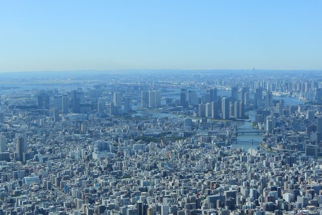 ぷらっと東京さんぽ《Scene.3》～高さ450メートルの天空散歩・東京スカイツリーへ～