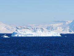 世界一周　憧れの南極大陸へ Part3