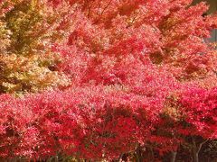 竜門峡　渓谷の紅葉を求めて